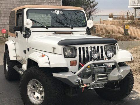 1990 Jeep Wrangler Turbodiese lMercedes for sale