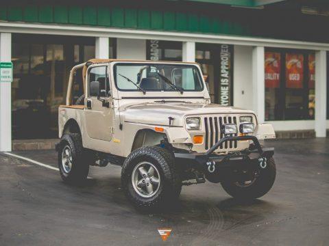 1995 Jeep Wrangler Rio Grande for sale
