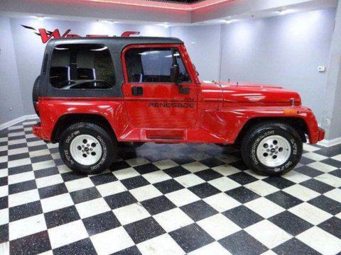 1994 Jeep Wrangler Renegade for sale