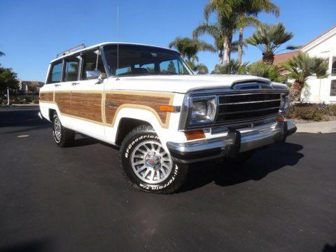 1989 Jeep Grand Wagoneer 5.9 Crate Motor for sale