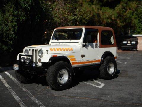 1984 Jeep CJ Base 2dr 4WD SUV for sale