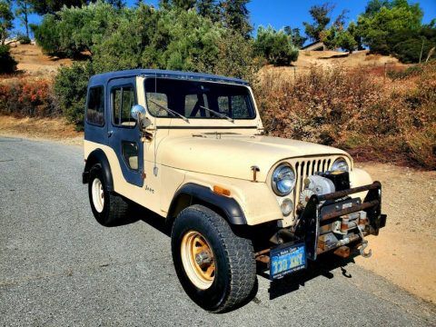 1979 Jeep CJ for sale
