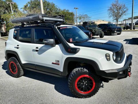 2017 Jeep Renegade Custom Trailhawk Leather NAV FUEL BILSTEIN for sale