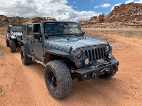 2015 Jeep Wrangler Unlimited Custom for sale