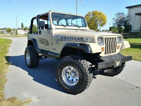 1994 Jeep Wrangler for sale