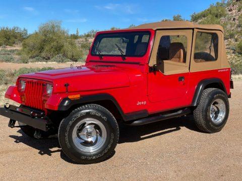 1993 Jeep Wrangler S for sale