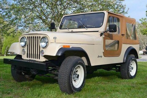 1985 Jeep CJ for sale