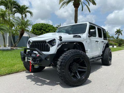 2018 Jeep Wrangler Custom 1 of 1 Unlimited Sport for sale