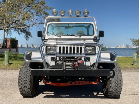 1989 Jeep Wrangler Air Force Edition for sale