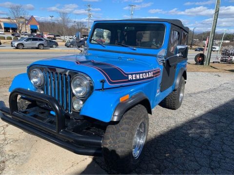 1976 Jeep Wrangler for sale