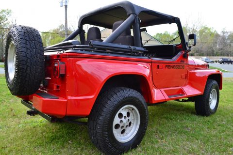 1993 Jeep Wrangler Renegade for sale