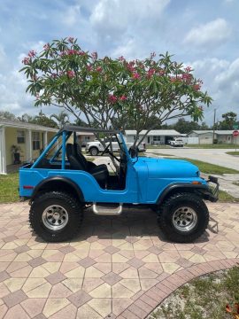 1975 Jeep Wrangler for sale
