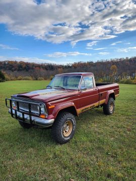 1984 Jeep Truck J10 for sale