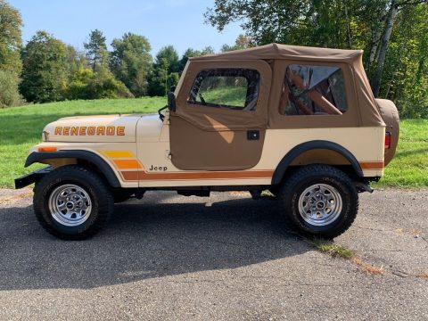 1983 Jeep CJ for sale