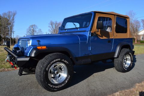 1993 Jeep Wrangler for sale