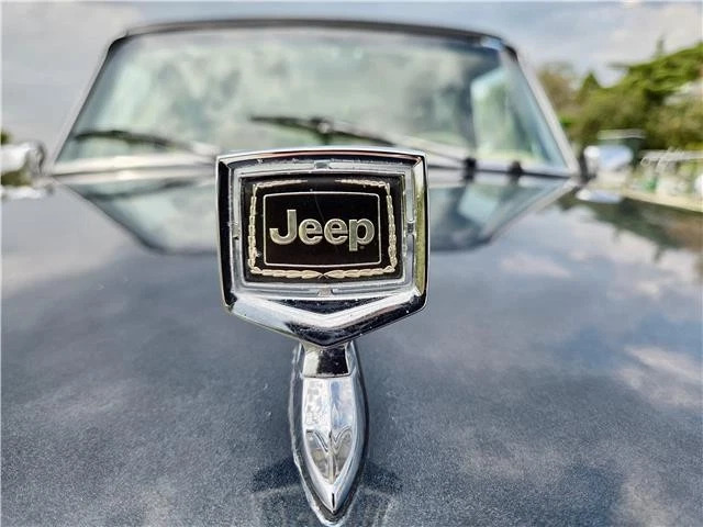 1989 Jeep Wagoneer