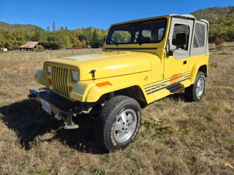 1989 Jeep Wrangler for sale